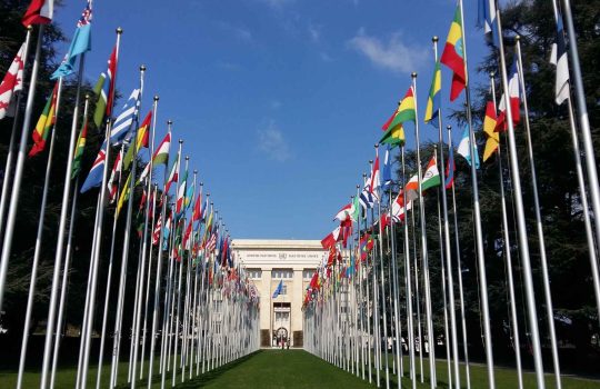 ייצור דגלים2